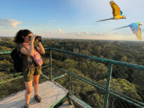 Avistamiento de Aves - Mundo Amazonico