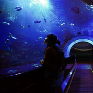 Playa Blanca y Acuario