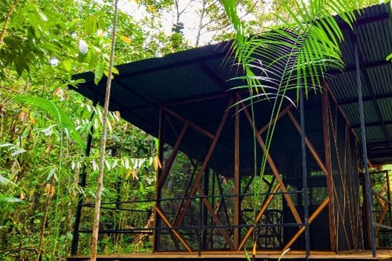 4 Rutas Mundo Amazonico