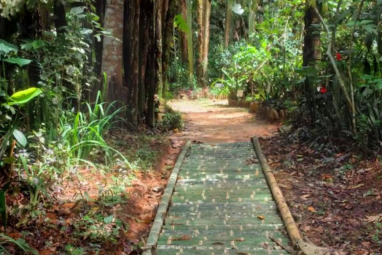4 Rutas Mundo Amazonico