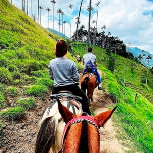 Tour en el Valle del Cocora