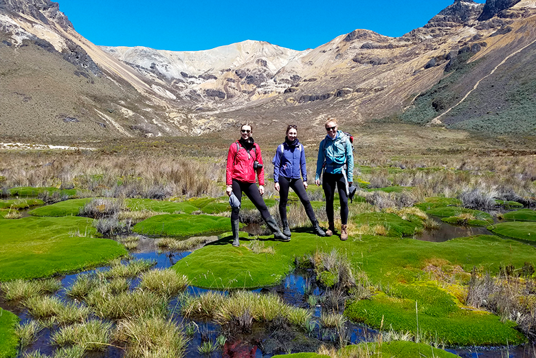 Expedición al páramo de Romerales